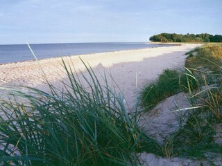 Naturstrand in Kronsgaard