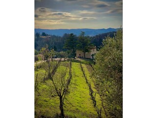 Casa per le vacanze Morrona Registrazione all'aperto 11