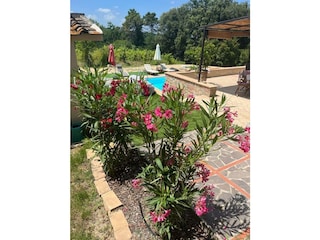 Maison de vacances Morrona Enregistrement extérieur 9