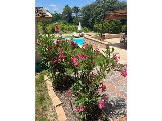 Vakantiehuis Morrona Buitenaudio-opname 9