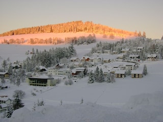 Holiday apartment Todtnauberg  31