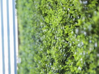 Apartment Xeraco Außenaufnahme 14