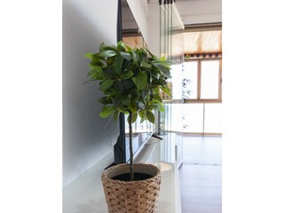 Apartment Xeraco Features 37