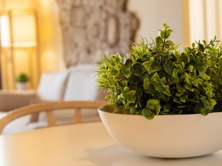 Apartment Daimús Features 44