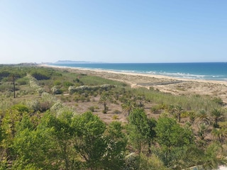 Apartment Xeraco Umgebung 51