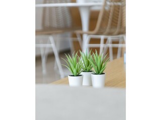 Apartment Xeraco Features 40