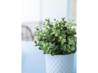 Apartment Xeraco Features 43