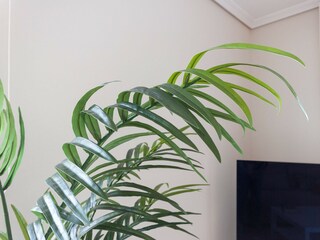 Apartment Xeraco Features 46