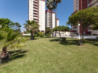 Apartment Daimús Umgebung 26