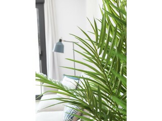 Apartment Daimús Ausstattung 25