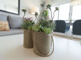 Apartment Xeraco Umgebung 47