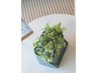 Apartment Xeraco Environment 57