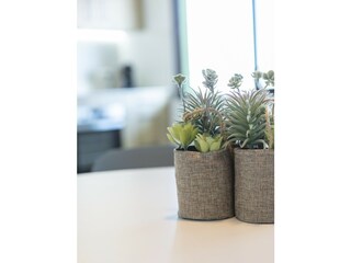 Apartment Xeraco Environment 62