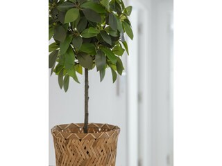 Apartment Daimús Environment 46