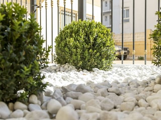 Apartment Daimús Environment 54