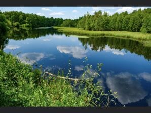 Ferienwohnung Haus Hölzene "Ilke"