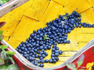 Vakantiehuis Varekil Buitenaudio-opname 6