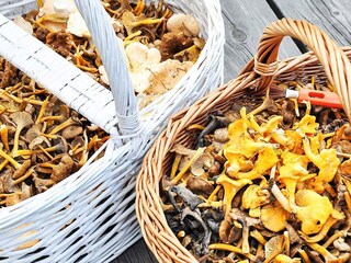 Ferienhaus Varekil Außenaufnahme 7