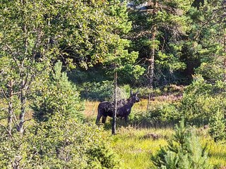 Vakantiehuis Evje  59