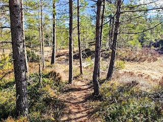 Holiday house Evje  15