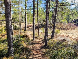 Vakantiehuis Evje  15