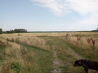 Vakantiehuis Mou  27