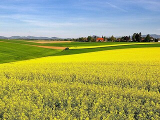 Casa de vacaciones Örkelljunga  16