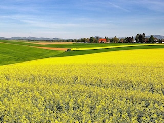 Holiday house Örkelljunga  16