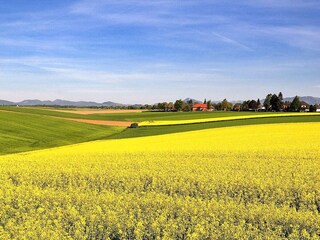 Casa per le vacanze Verum  12