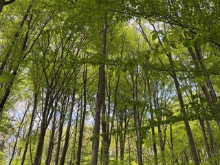 Vakantiehuis Göteborg Buitenaudio-opname 5