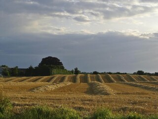 Vakantiehuis Hejlsminde  6