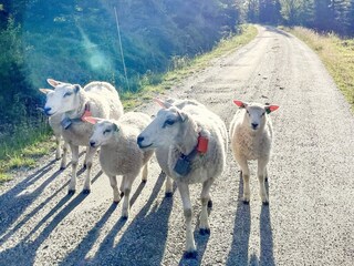 Holiday house Welt  9