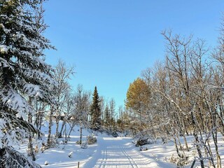 Vakantiehuis Welt  22