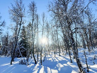 Holiday house Welt  6