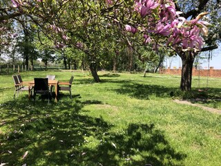 Holiday house Neuruppin Outdoor Recording 5