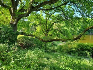 Vakantiehuis Welt  15