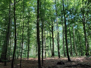 Vakantiehuis Welt  16