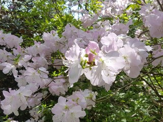 Casa per le vacanze Welt  17