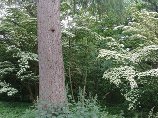 Vakantiehuis Welt  18