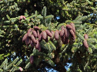 Vakantiehuis Welt  19