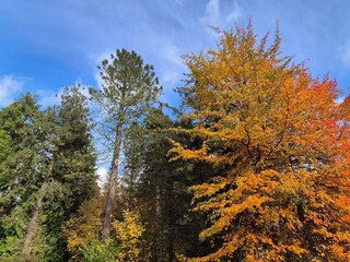 Vakantiehuis Welt  20