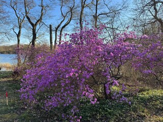 Vakantiehuis Welt  21