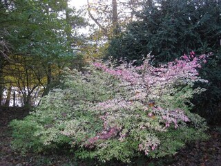 Vakantiehuis Welt  22