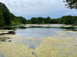 Vakantiehuis Welt  24