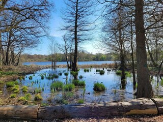 Casa per le vacanze Welt  36