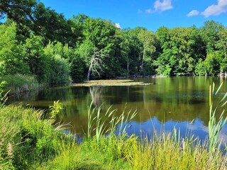 Vakantiehuis Welt  31