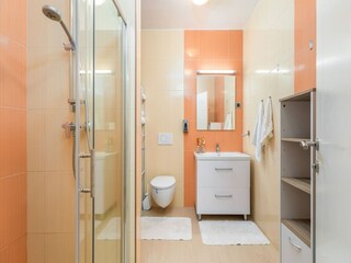 Villa Ližnjan Características 42