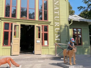 Ferienhaus Nättraby Außenaufnahme 25