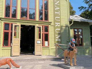 Vakantiehuis Nättraby Buitenaudio-opname 9