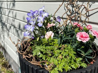 Holiday house Karlskrona Outdoor Recording 6